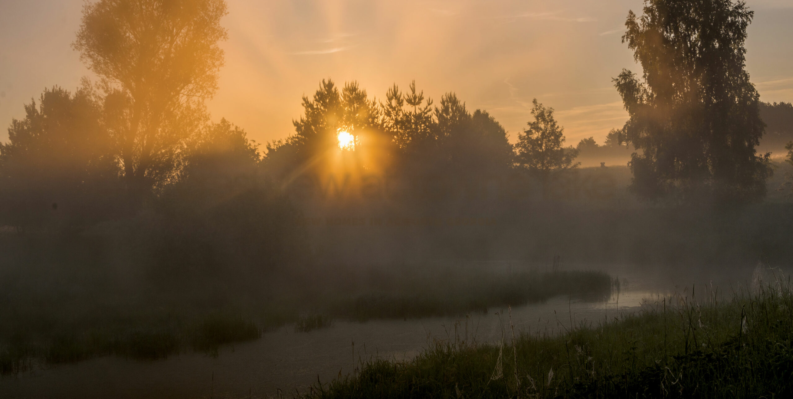 Crestview at Towne Lake Crawford Creek Communities
